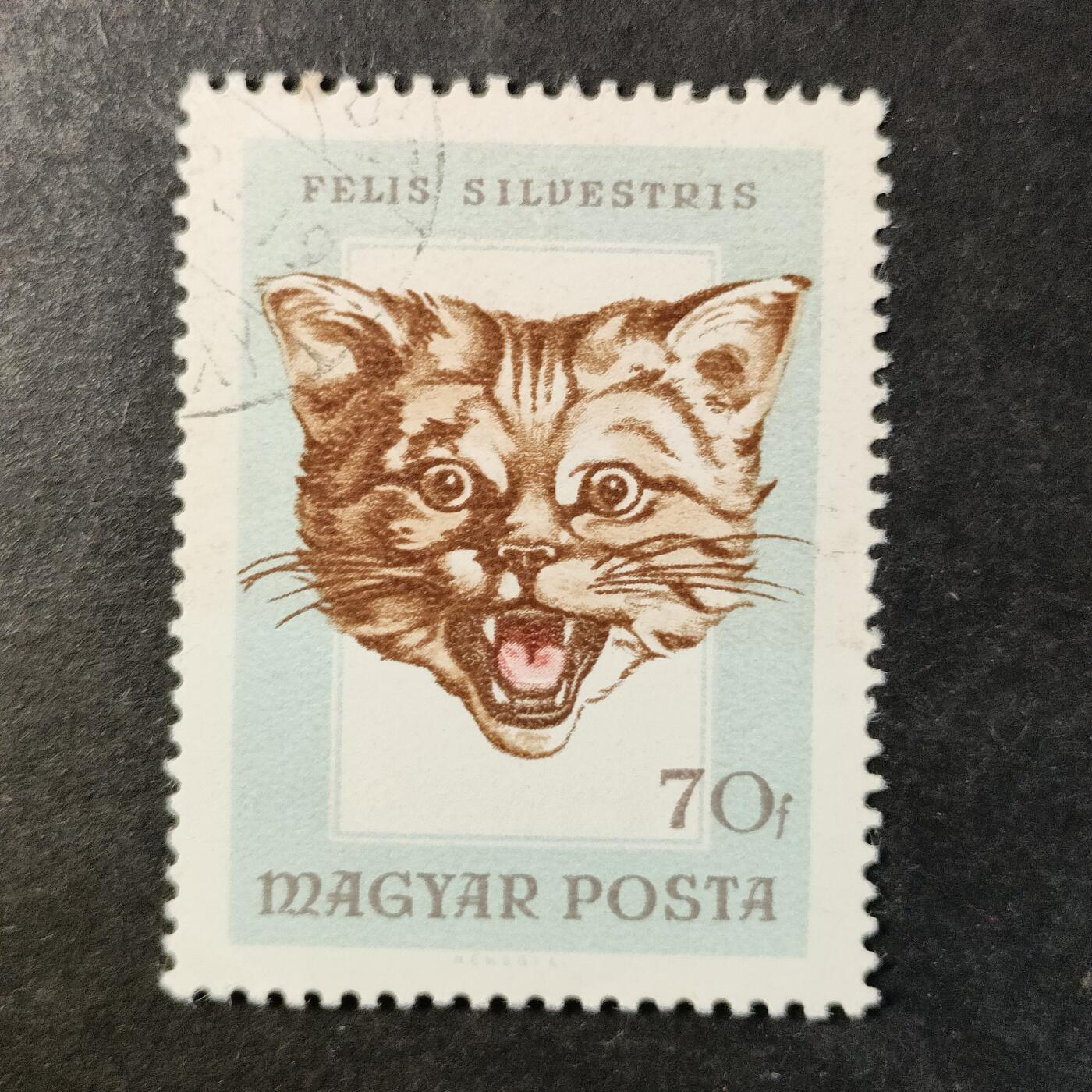 嘉禾收藏    【第514期】            无佣金、可寄存、满30元包邮 邮票一枚