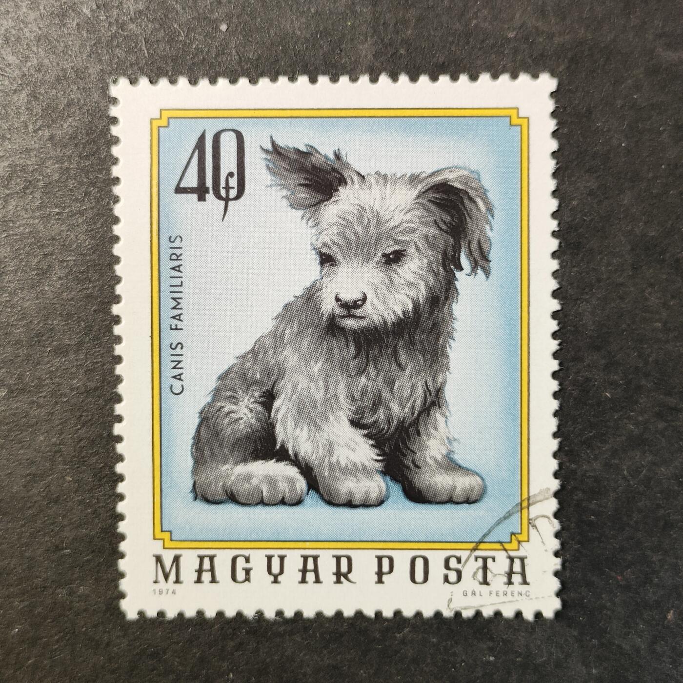 嘉禾收藏    【第514期】            无佣金、可寄存、满30元包邮 邮票一枚