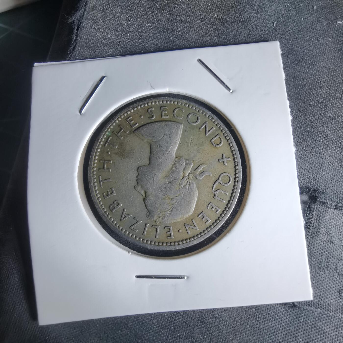 沼泽如烟--第1050场