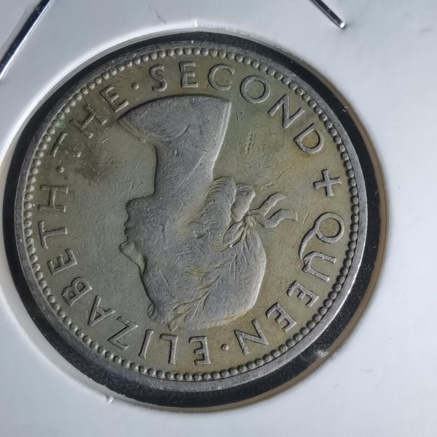 沼泽如烟--第1050场