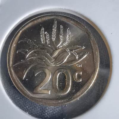 沼泽如烟--第1050场 - 南非2024年20分