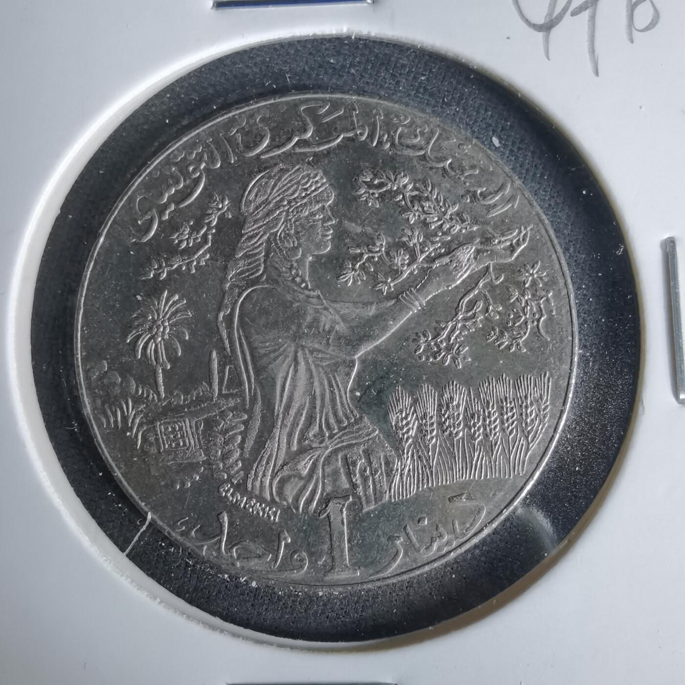 沼泽如烟--第1049场