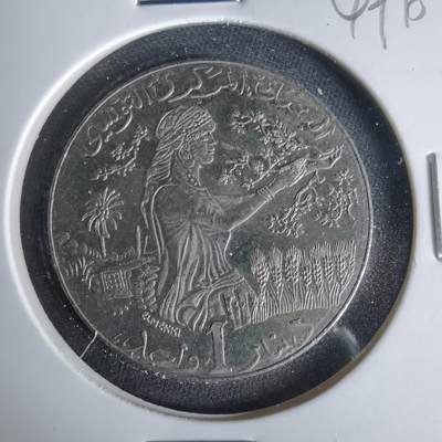 沼泽如烟--第1049场 - 突尼斯2009年1第纳尔