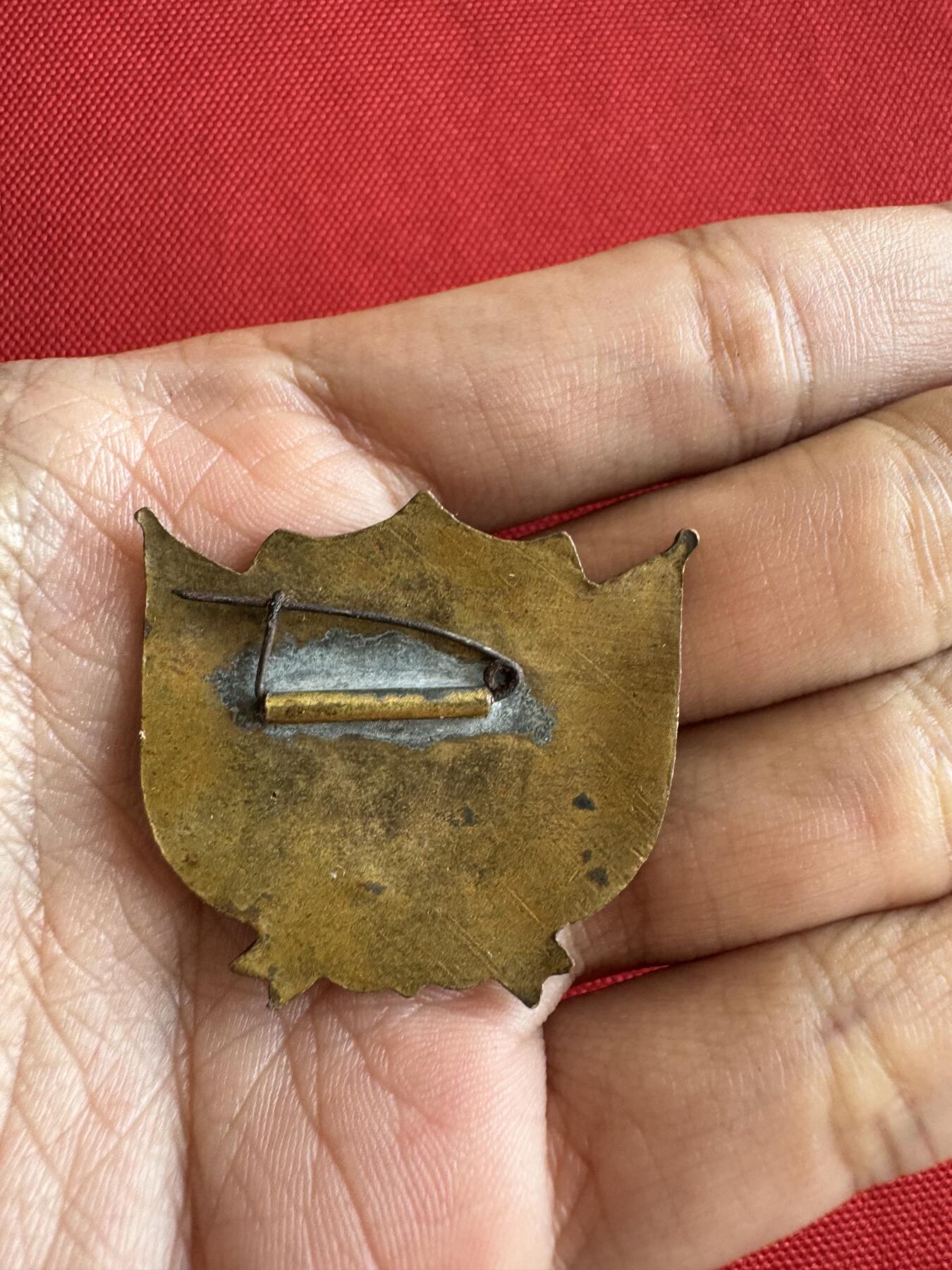 五哥徽章群   11号周六晚上八点4群联拍 铜章