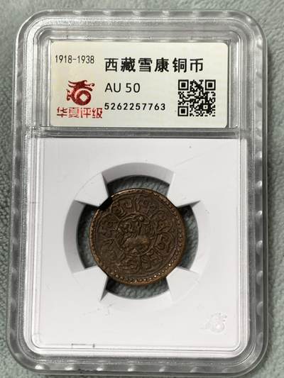 西藏雪康铜币 - 西藏雪康铜币