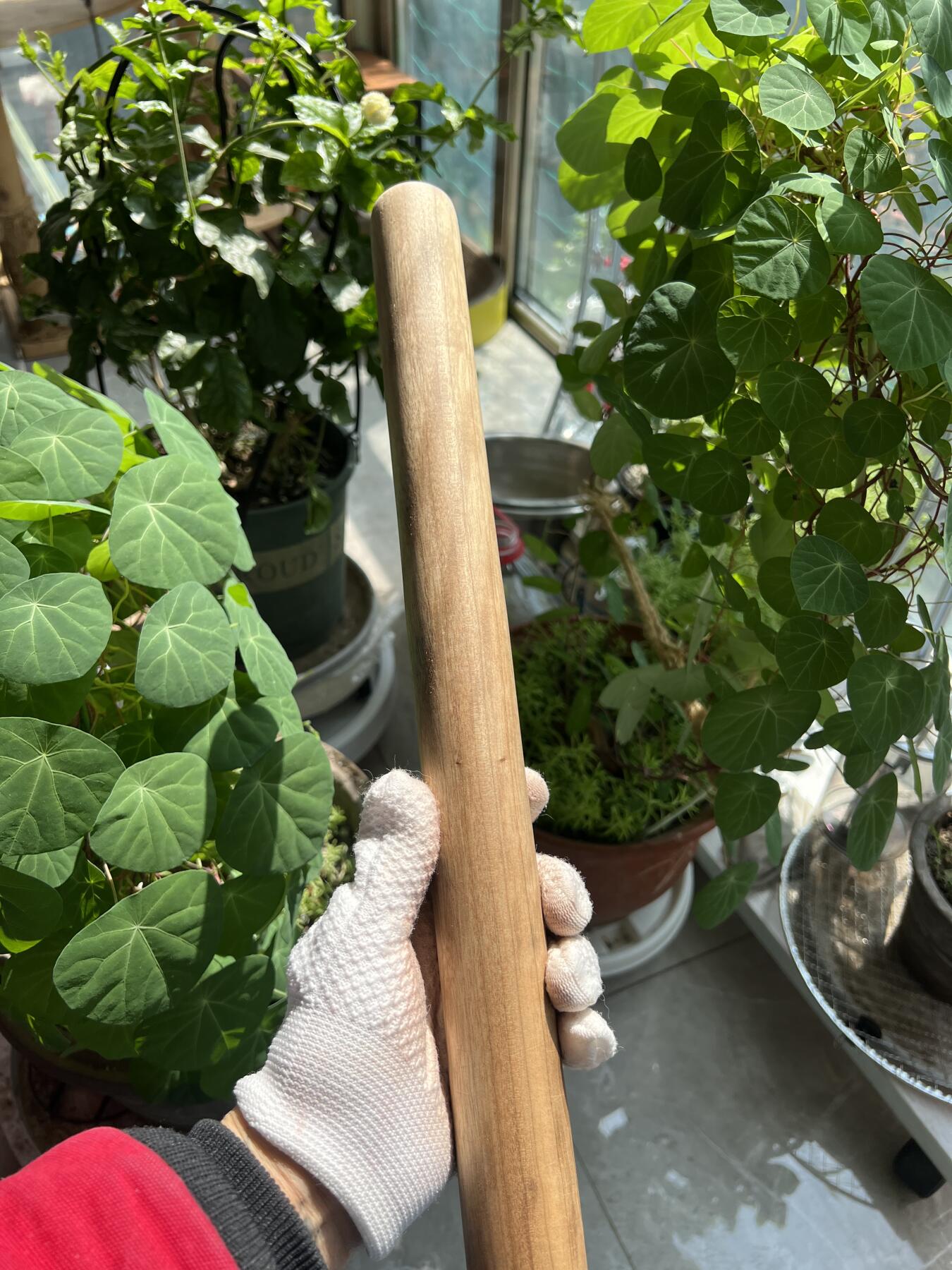 零元拍：金丝楠擀面杖文玩棍，无漆无蜡，尺寸约：60/4CM