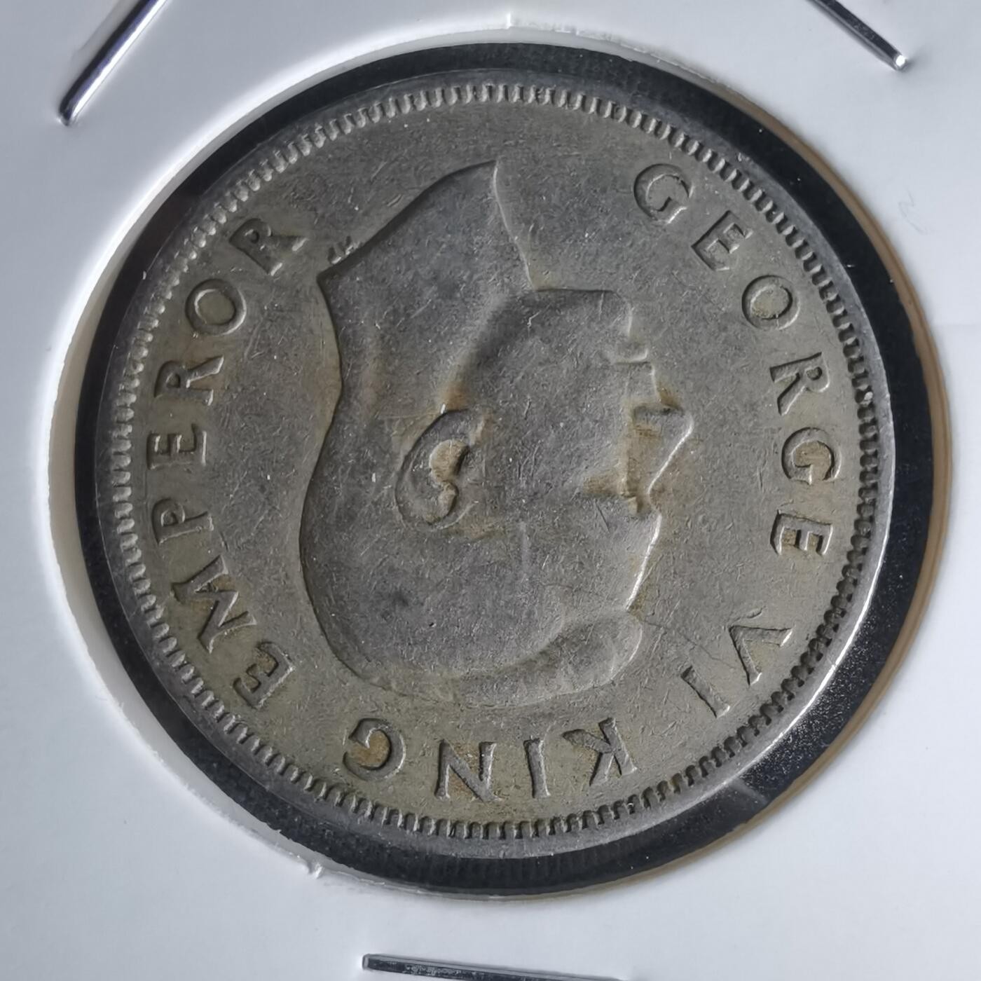 沼泽如烟--第1050场