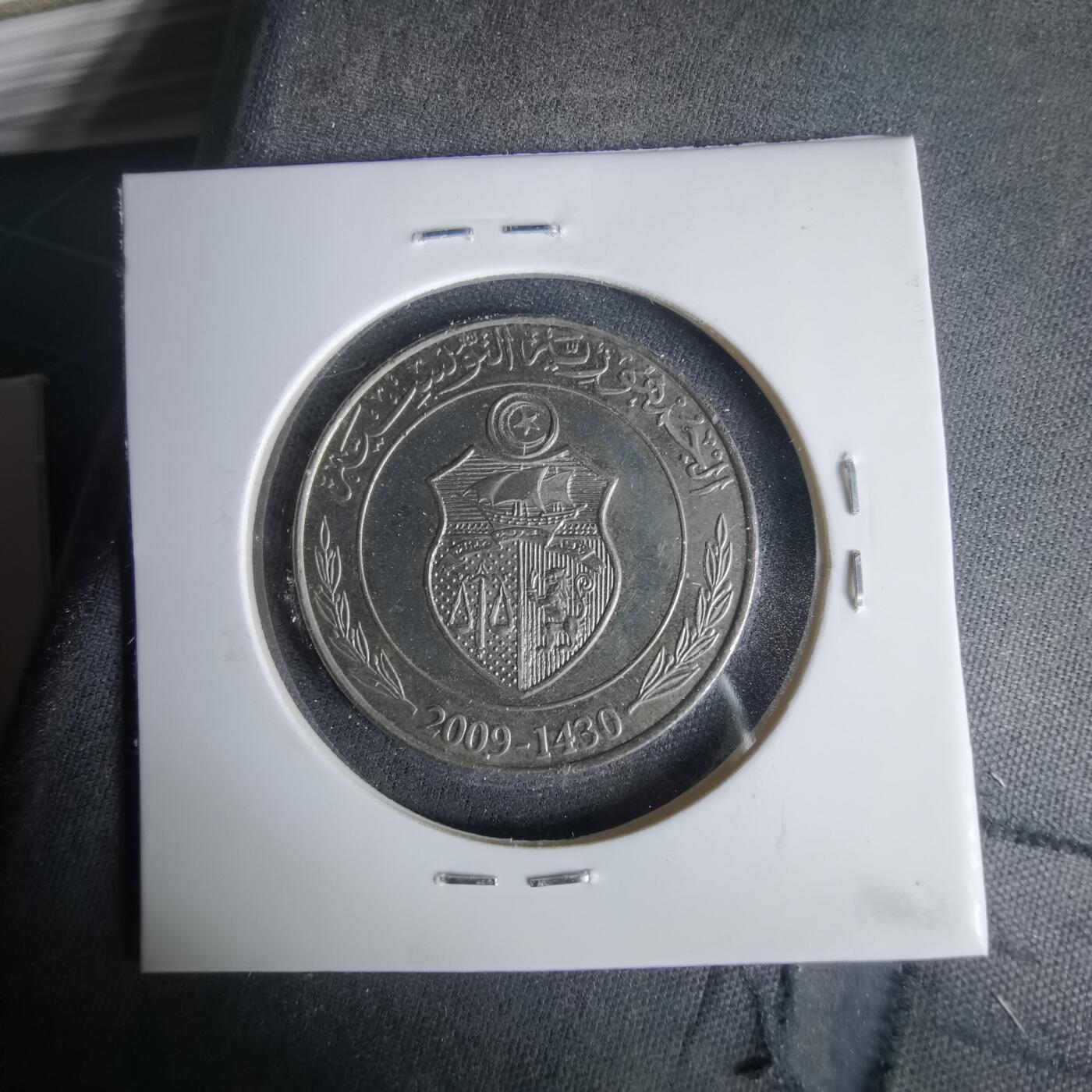 沼泽如烟--第1049场