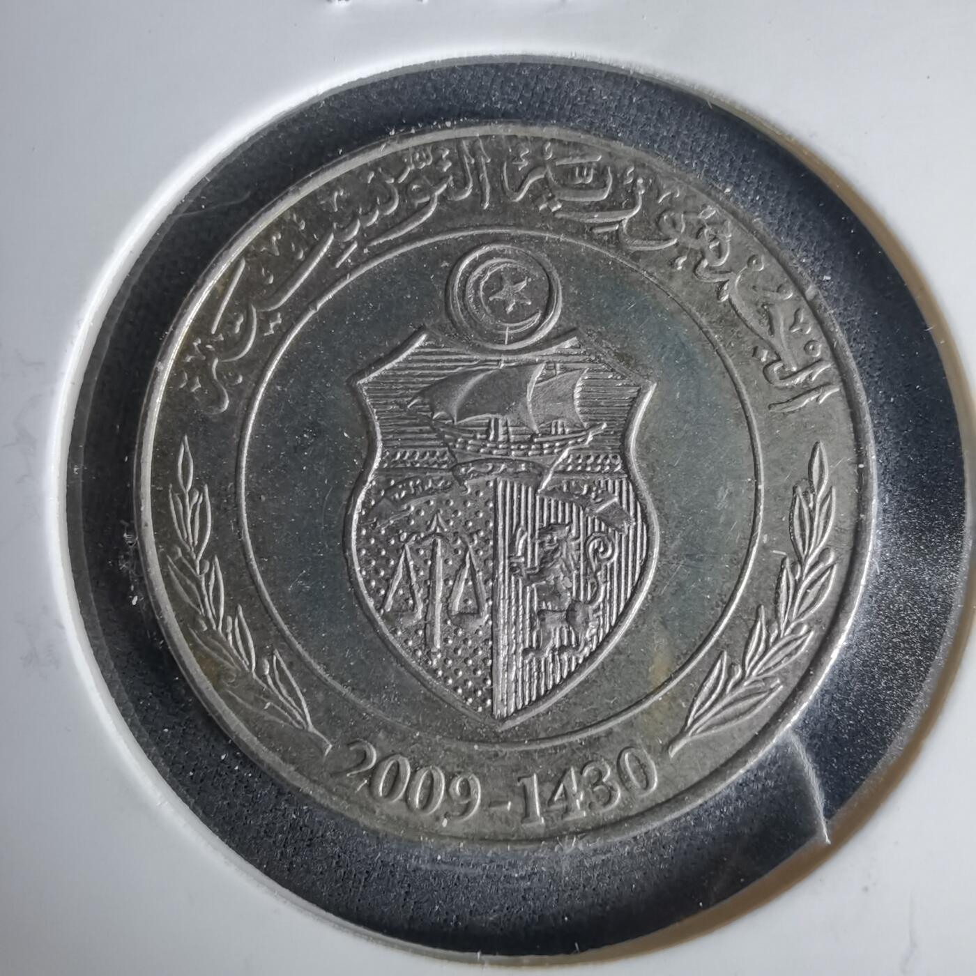 沼泽如烟--第1049场