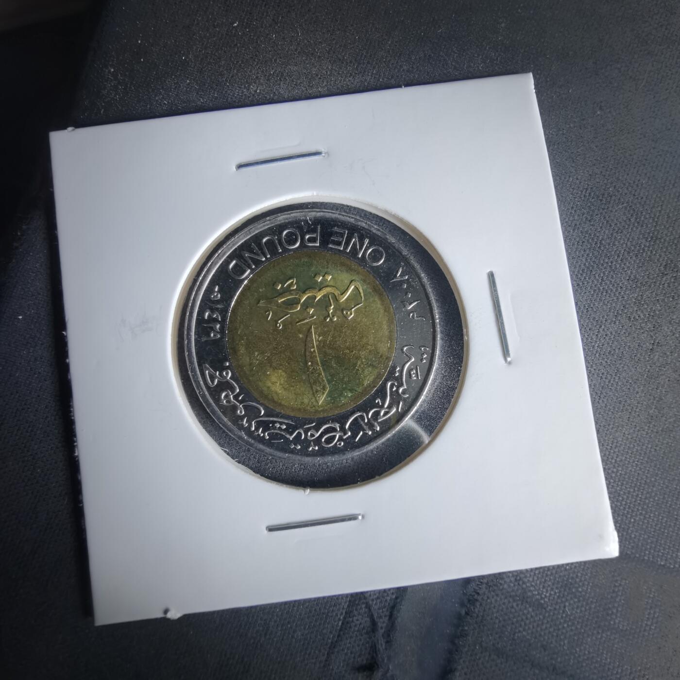 沼泽如烟--第1049场 埃及