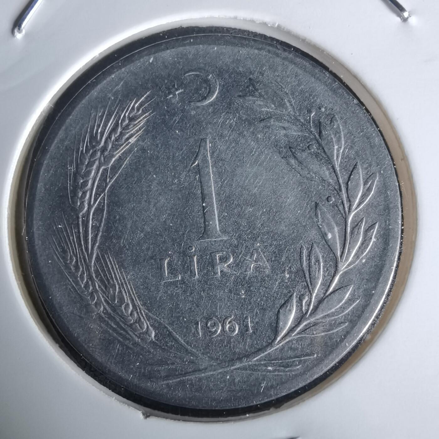 沼泽如烟--第1050场