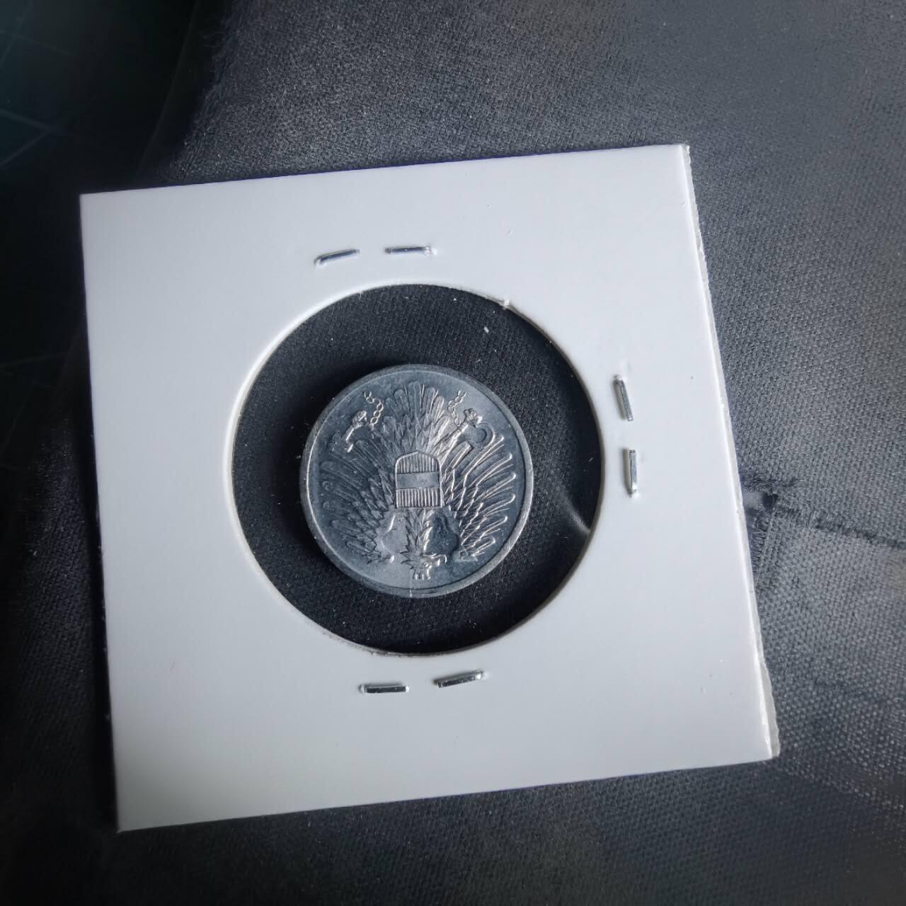 沼泽如烟--第1049场