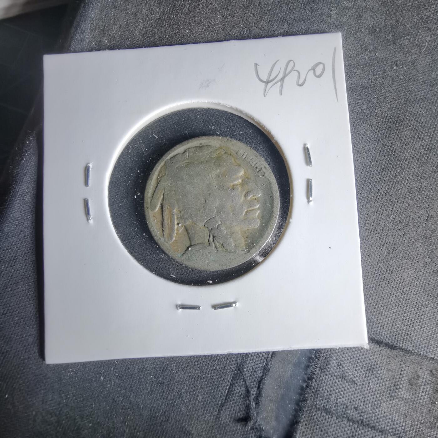 沼泽如烟--第1049场 美国野牛五分