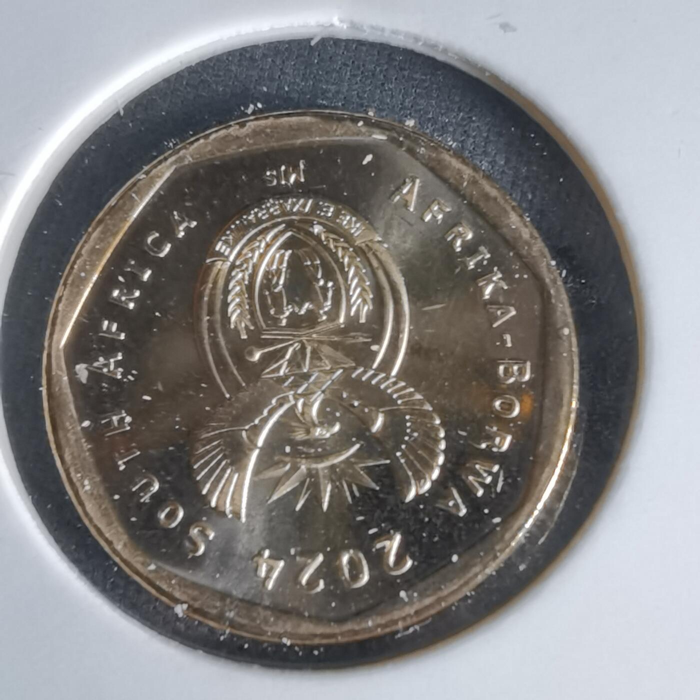 沼泽如烟--第1050场 南非2024年20分