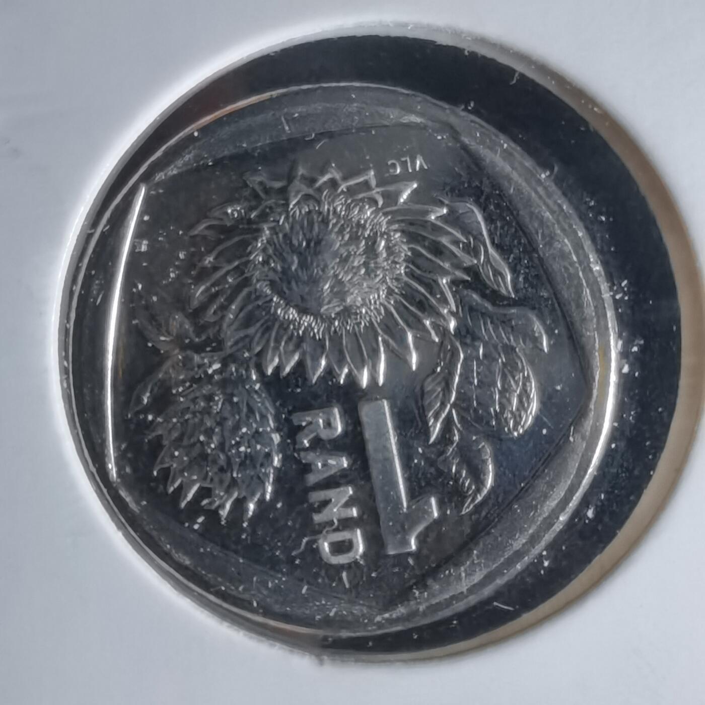 沼泽如烟--第1050场