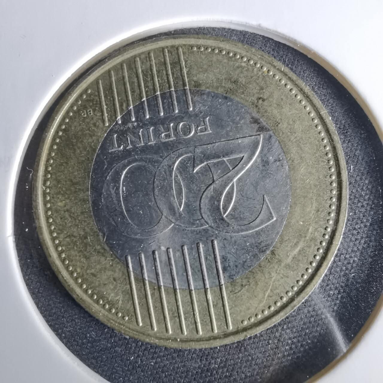 沼泽如烟--第1049场