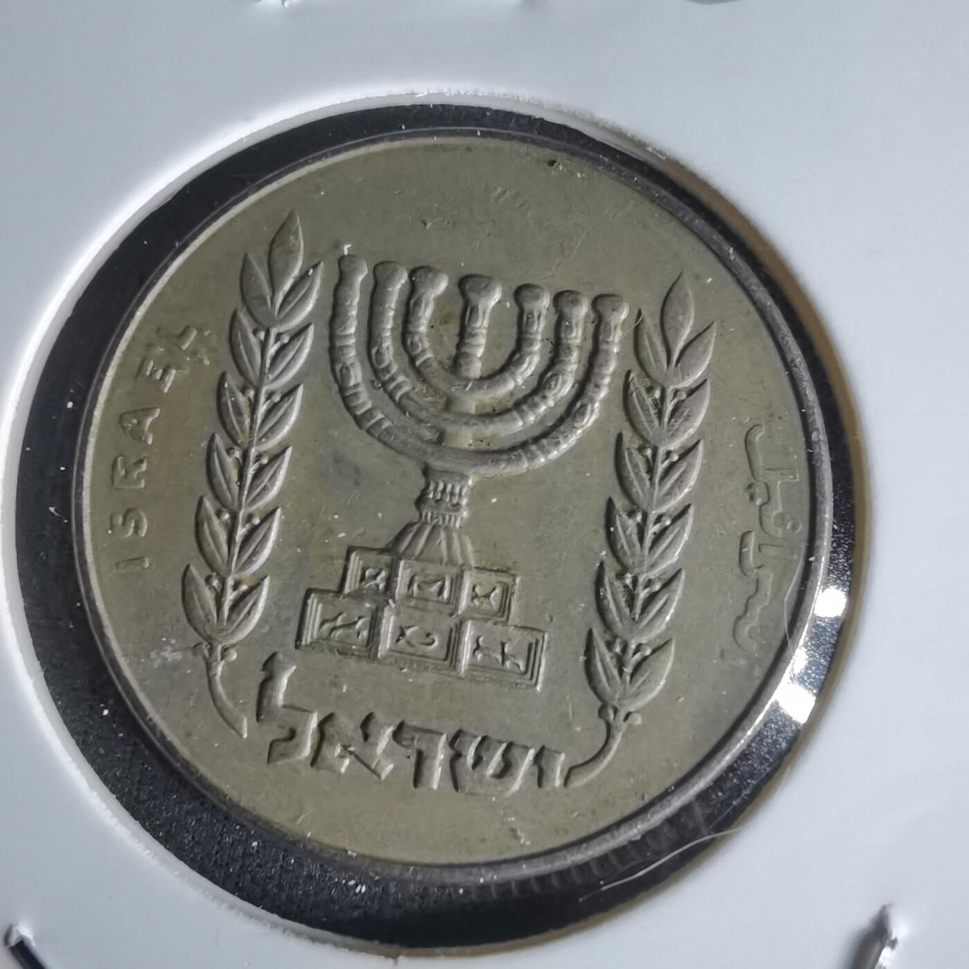 沼泽如烟--第1050场