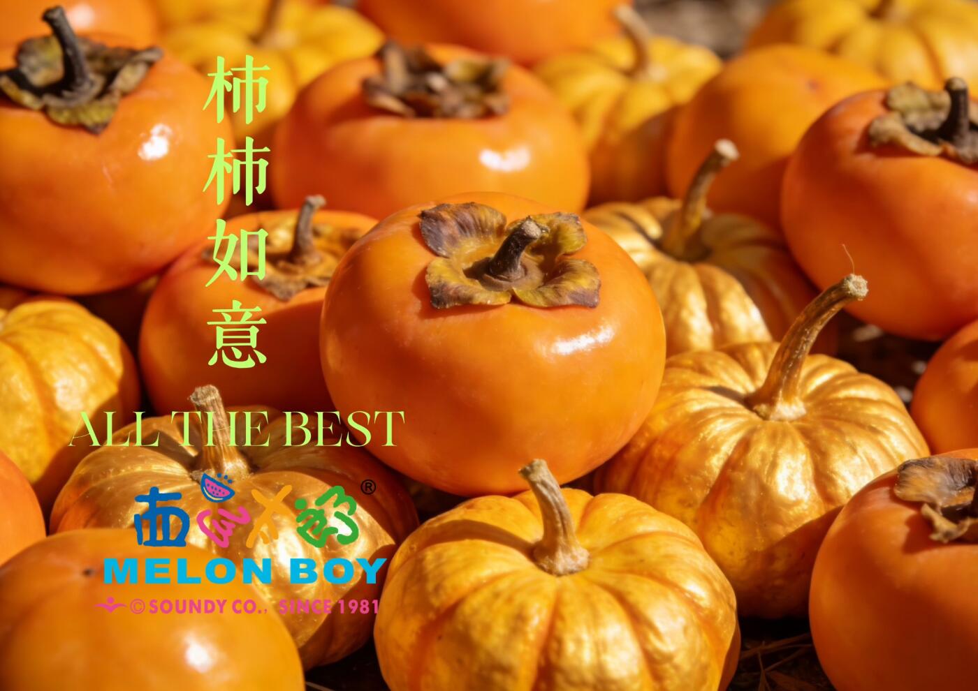 CSIS-GREAT评级精品钱币拍卖第三百四十八期 西瓜太郎2026年柿柿如意系列首枚大柿子立体彩色纪念铜章1号证书！