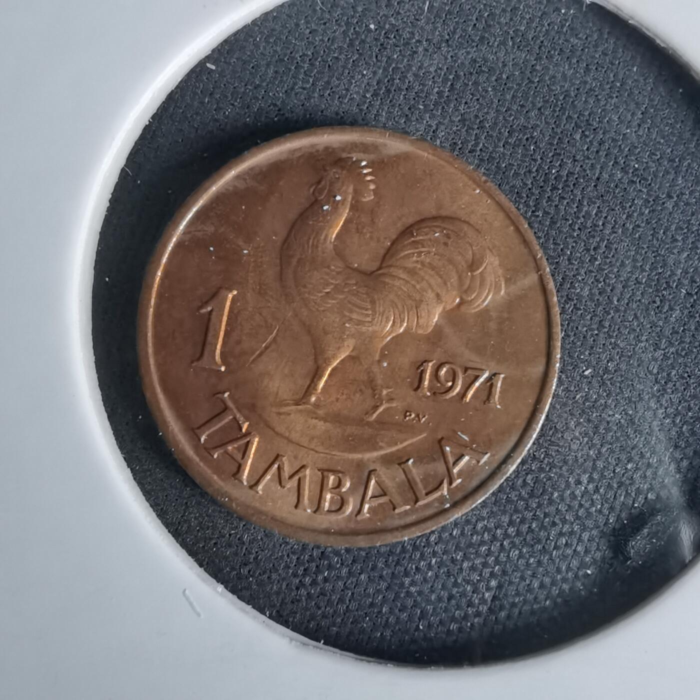 沼泽如烟--第1049场 马拉维1971年1坦巴拉