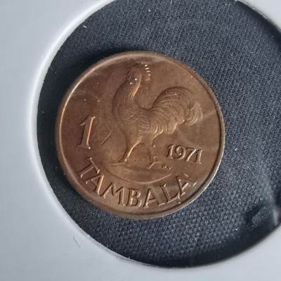 沼泽如烟--第1049场 - 马拉维1971年1坦巴拉