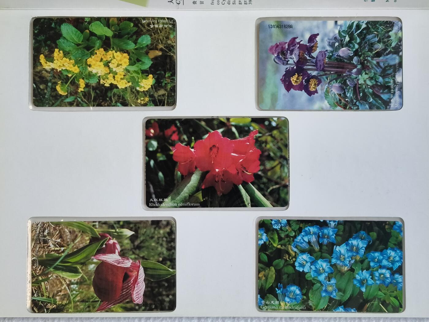 易卡拍卖第89期 IC—22高山植物。SD山东版。无封套带册。收藏级品相。如图所示！