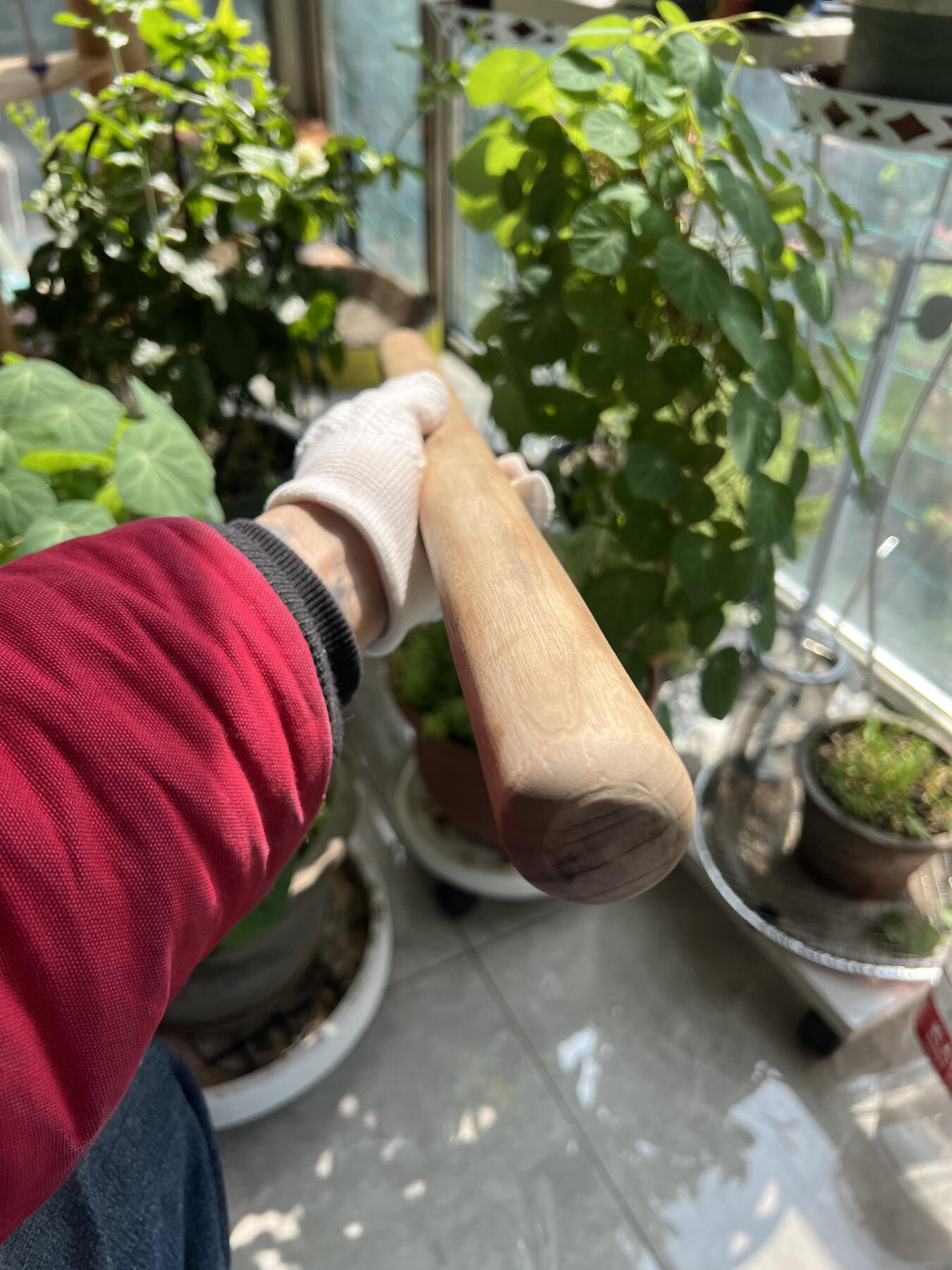 零元拍：金丝楠擀面杖文玩棍，无漆无蜡，尺寸约：60/4CM