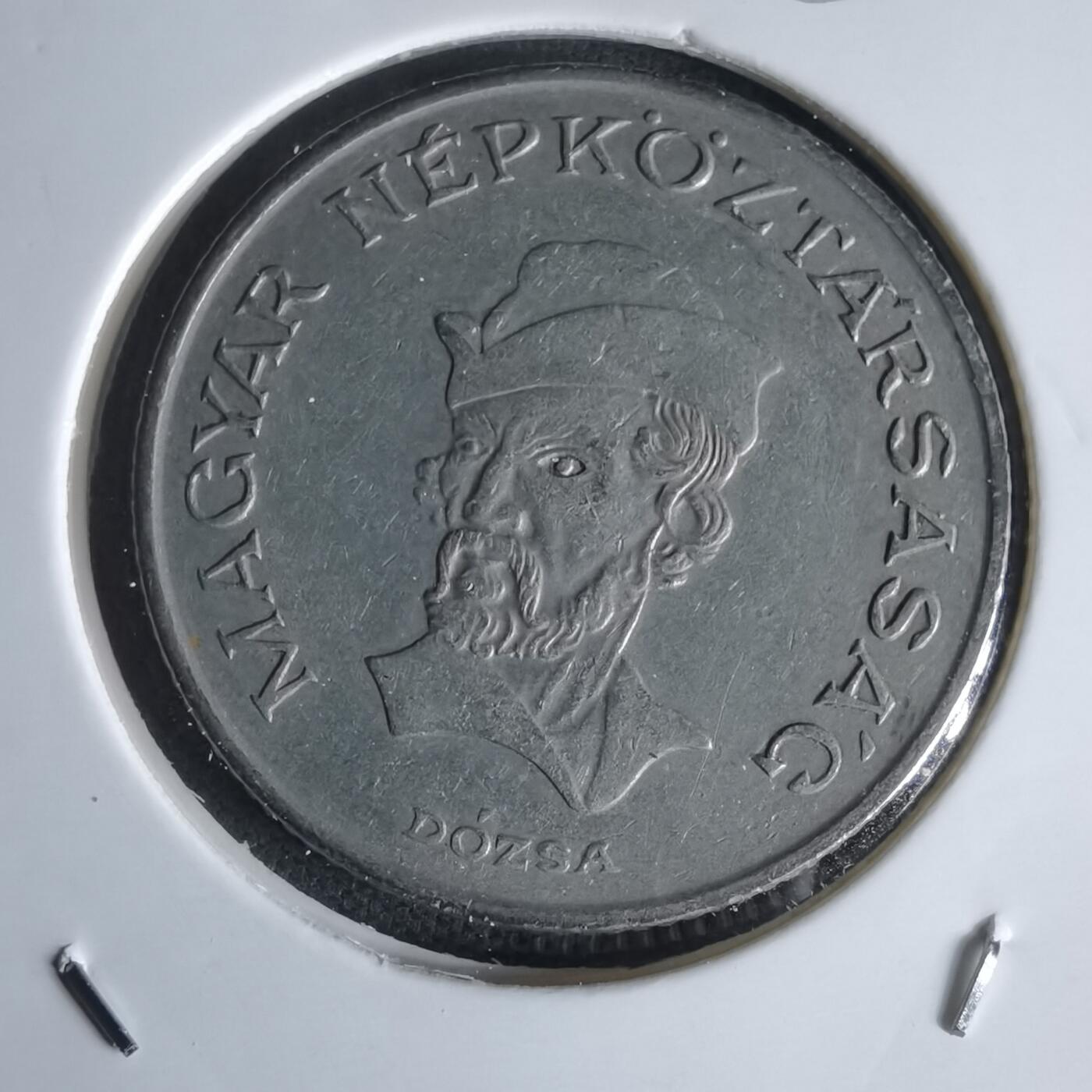 沼泽如烟--第1050场