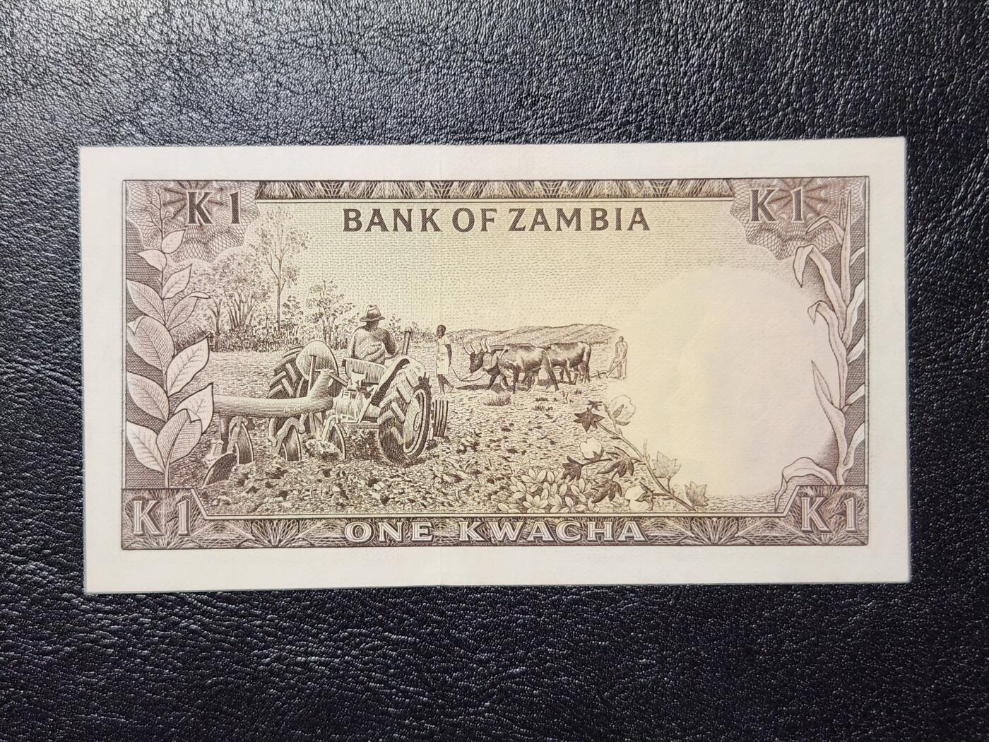 4月11号晚上8点 中外纸币自动截拍第55场