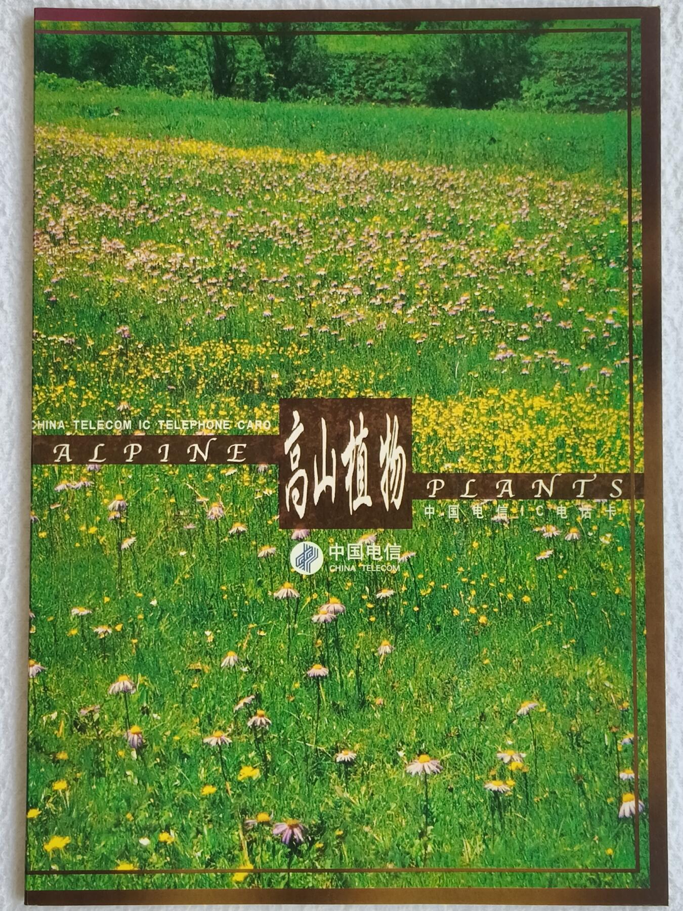 易卡拍卖第89期 IC—22高山植物。SD山东版。无封套带册。收藏级品相。如图所示！