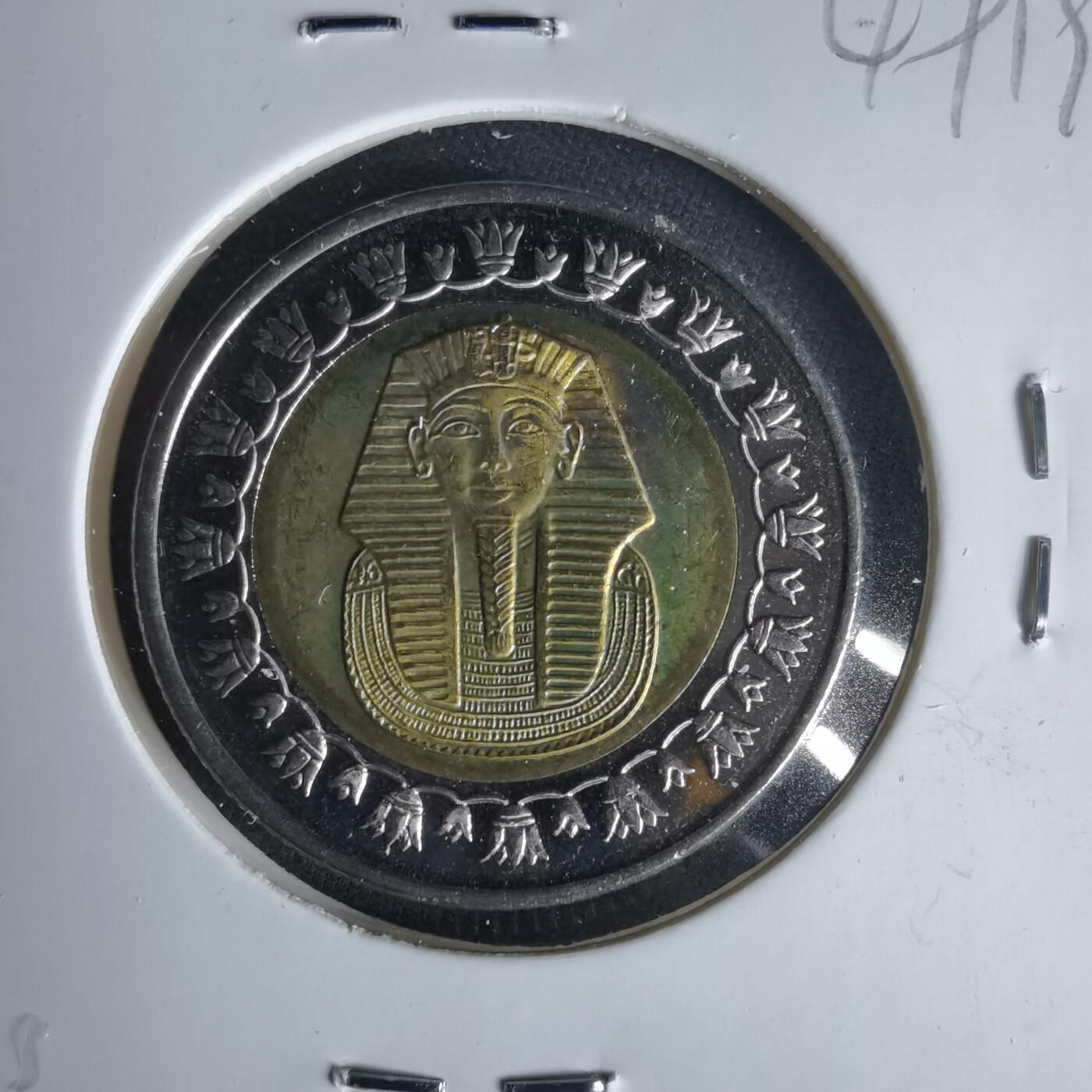 沼泽如烟--第1049场 埃及