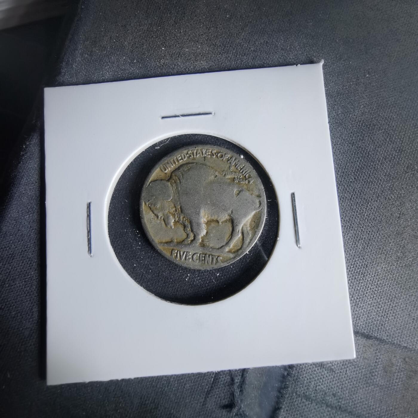 沼泽如烟--第1049场 美国野牛五分