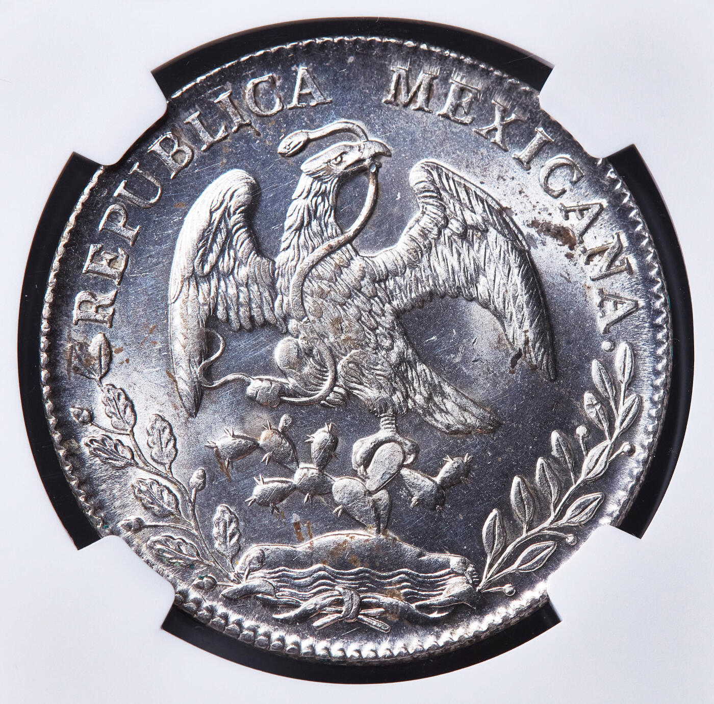 【俄甄集藏】满园春色-2026年(051)04-22星期三 晚 19:30 全场包邮 墨西哥1894年Cn AM版8里亚尔鹰洋大银币，NGC UNCD，转光品相，底板凝霜，少见版别