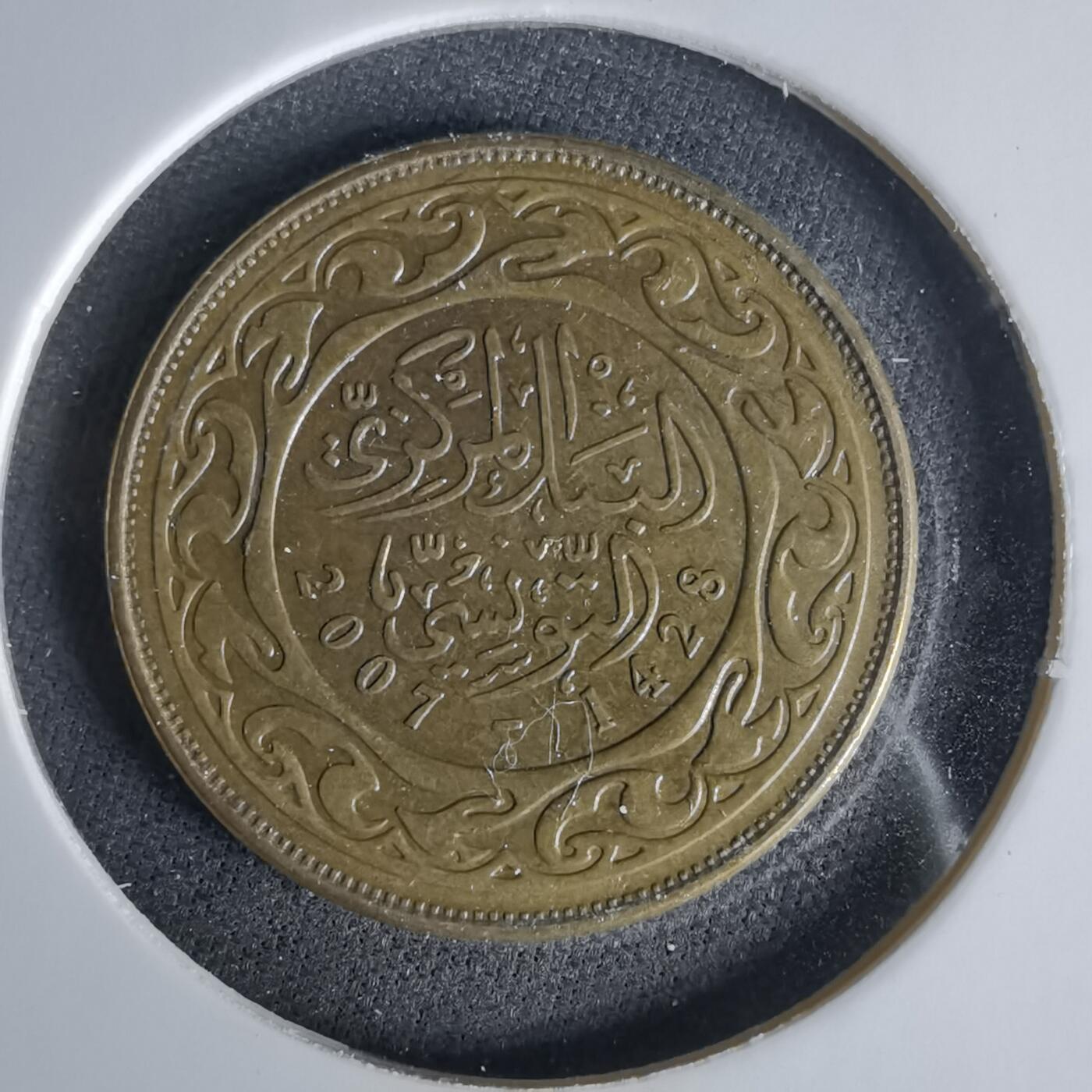 沼泽如烟--第1049场