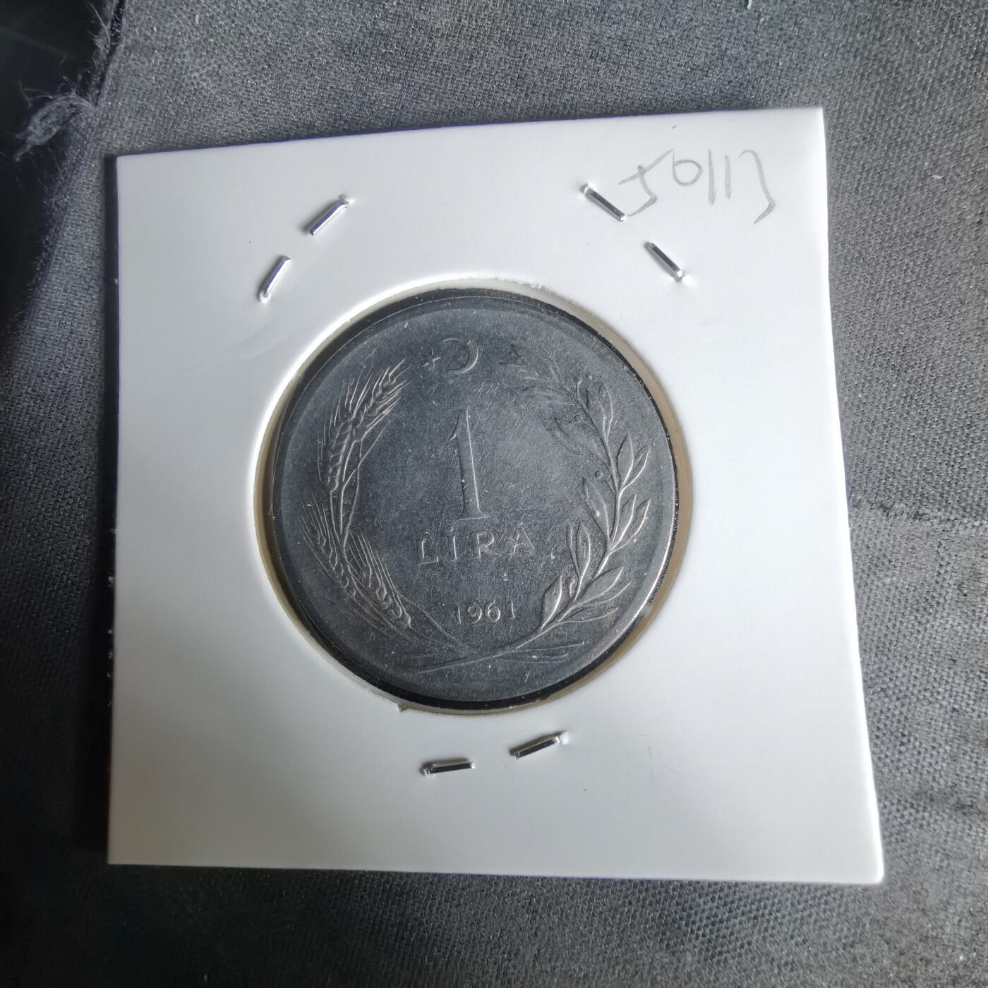 沼泽如烟--第1050场