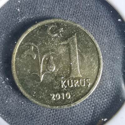 沼泽如烟--第1049场 - 土耳其2010年1库鲁