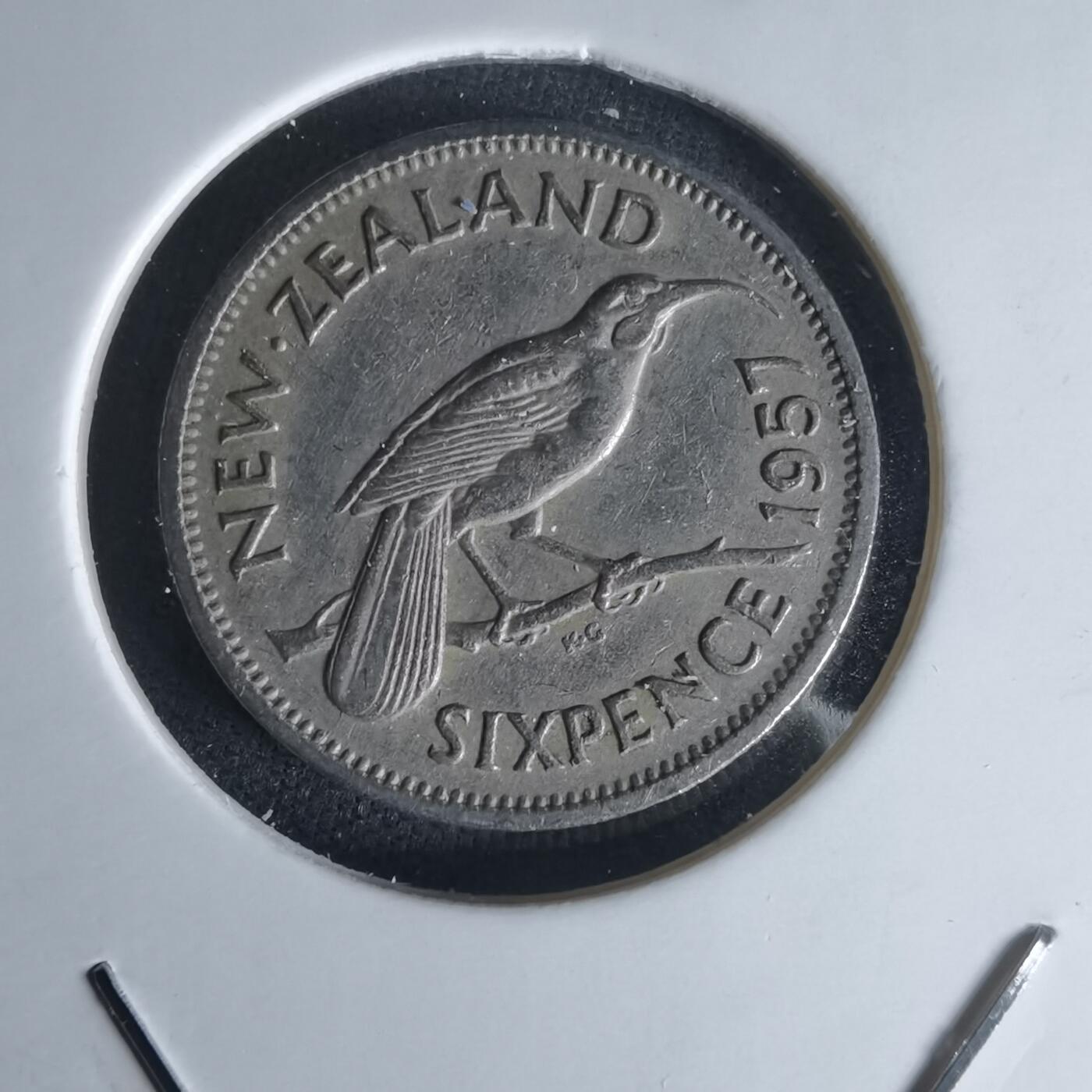 沼泽如烟--第1050场