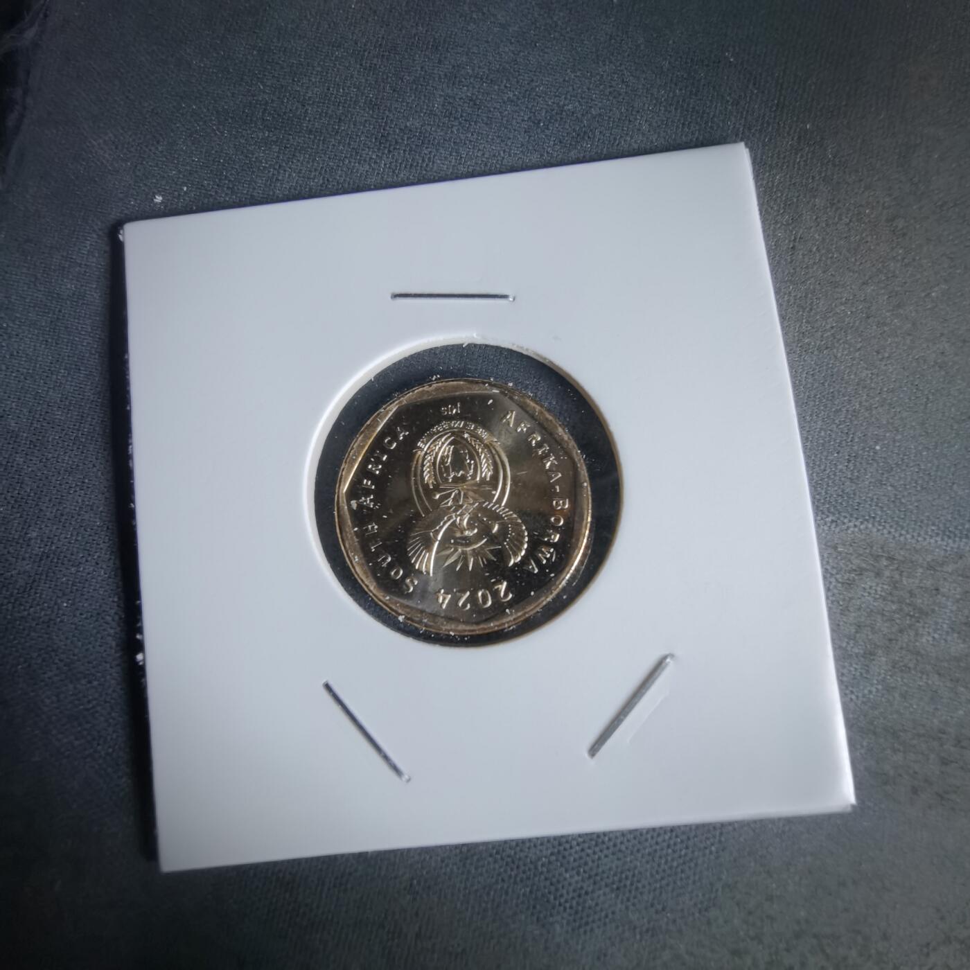 沼泽如烟--第1050场 南非2024年20分