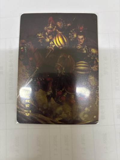 无关紧要 出坑转让 不寄存 默认微瑕 循环上架 介意勿拍 收货请尽快确认 谢谢 - 阿毛玩卡 寻梦华夏 ty11 精忠报国 纱布闪