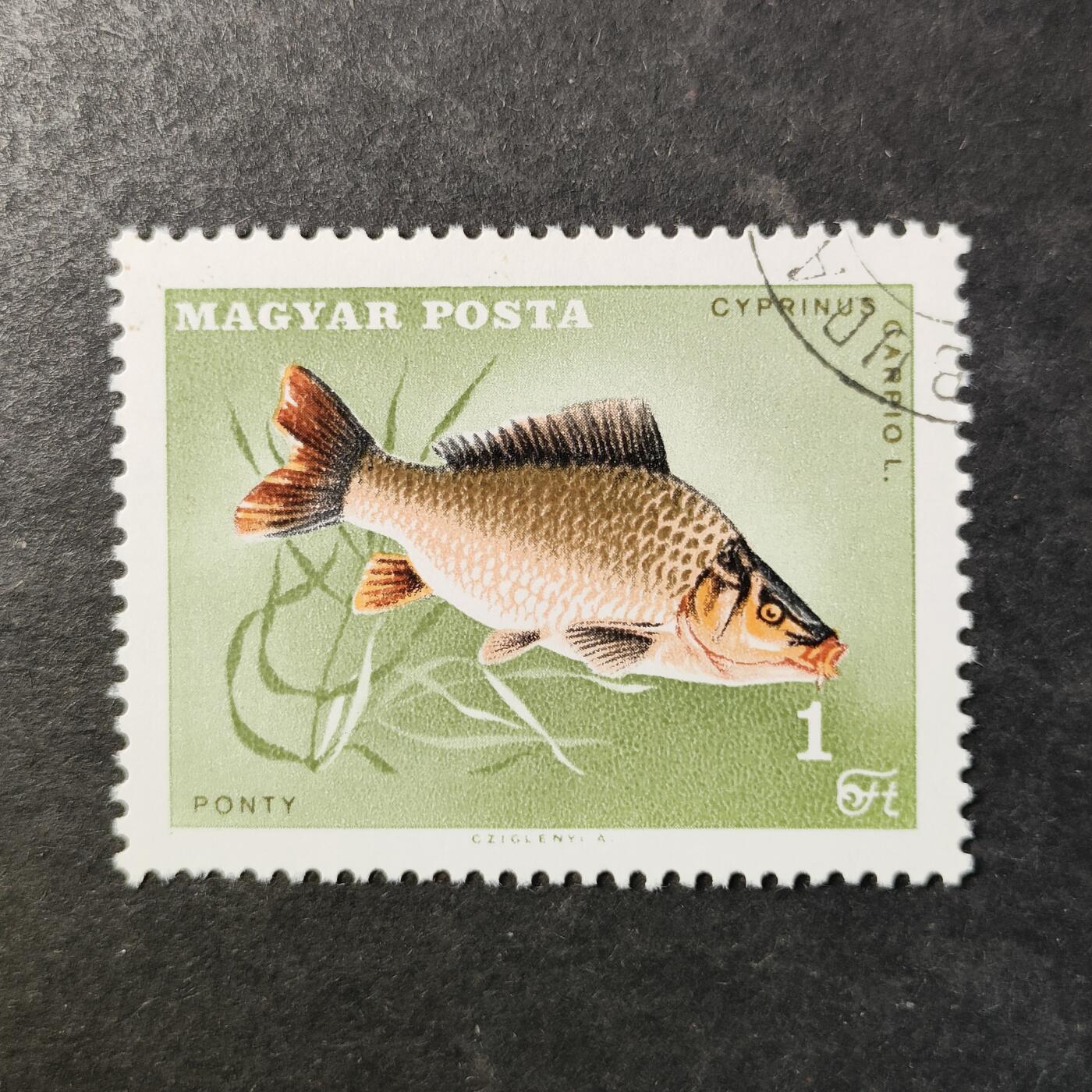 嘉禾收藏    【第514期】            无佣金、可寄存、满30元包邮 邮票一枚