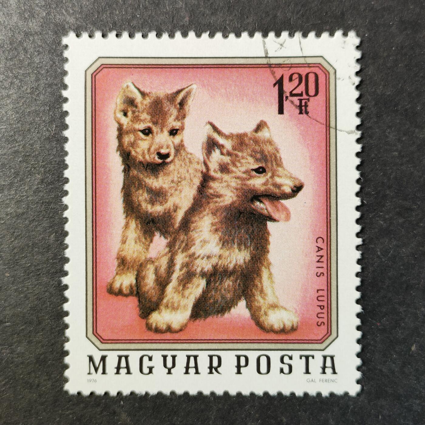 嘉禾收藏    【第514期】            无佣金、可寄存、满30元包邮 邮票一枚