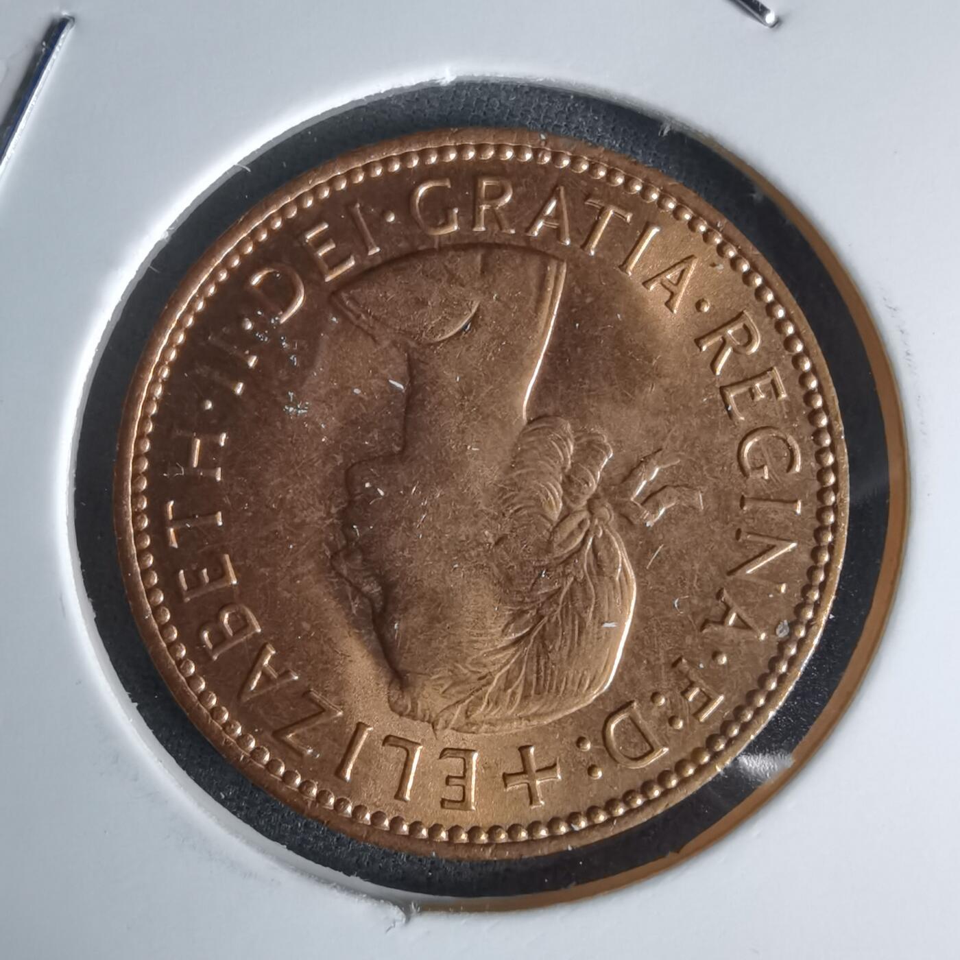 沼泽如烟--第1050场