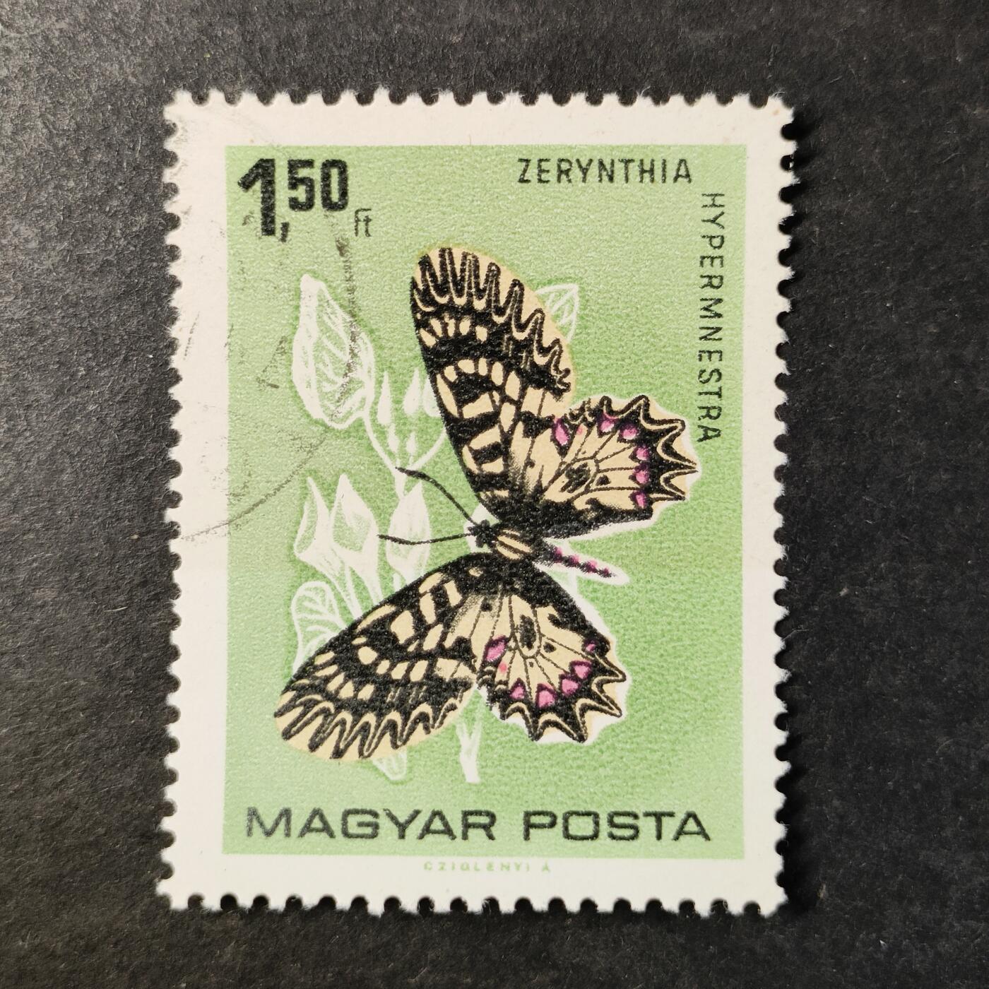 嘉禾收藏    【第514期】            无佣金、可寄存、满30元包邮 蝴蝶🦋邮票