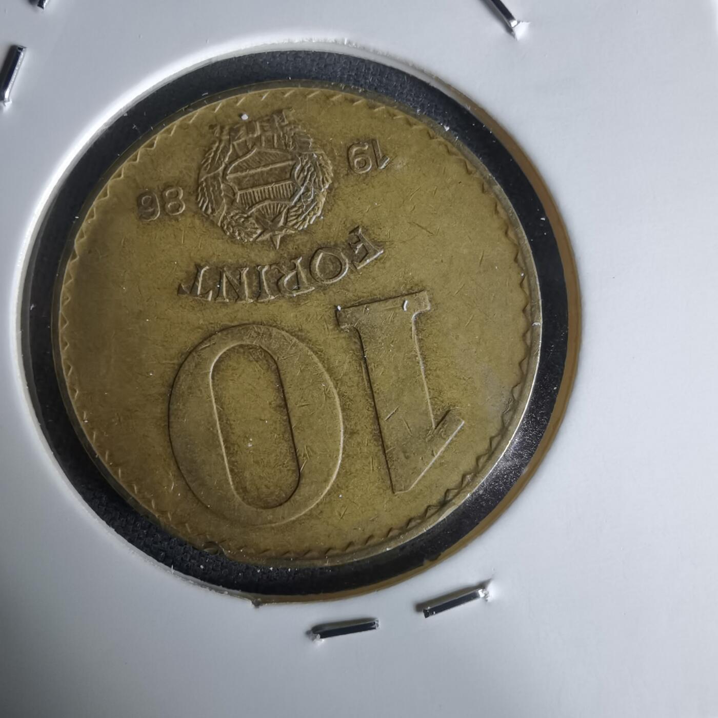 沼泽如烟--第1050场