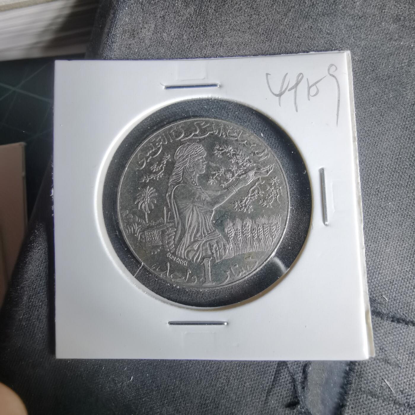 沼泽如烟--第1049场