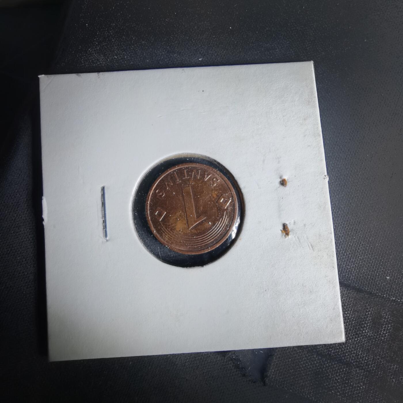 沼泽如烟--第1049场 拉脱维亚1997年一分