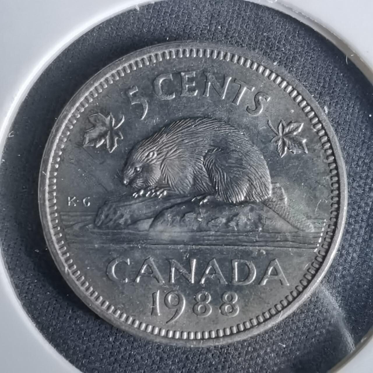 沼泽如烟--第1049场 加拿大1988年五分