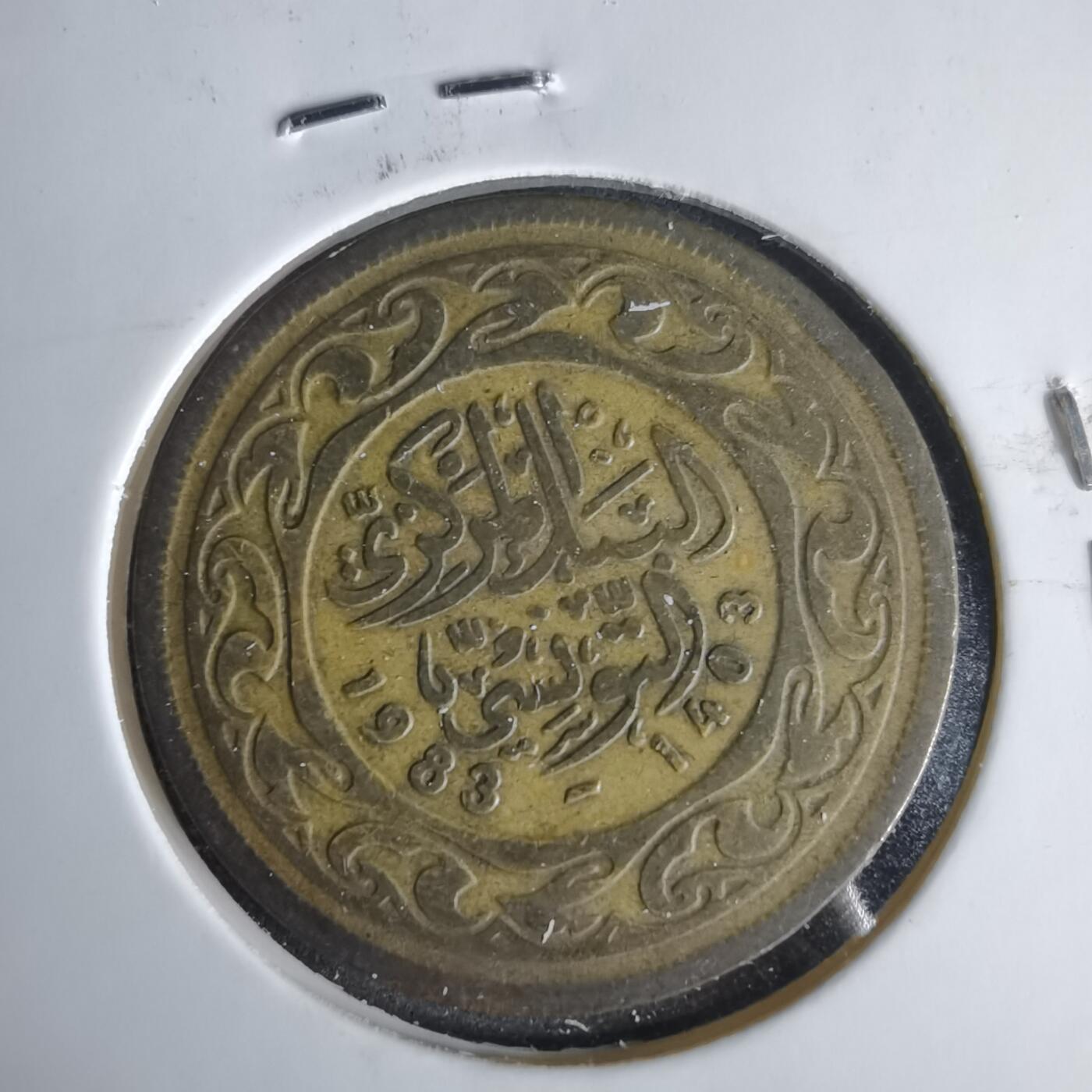 沼泽如烟--第1049场