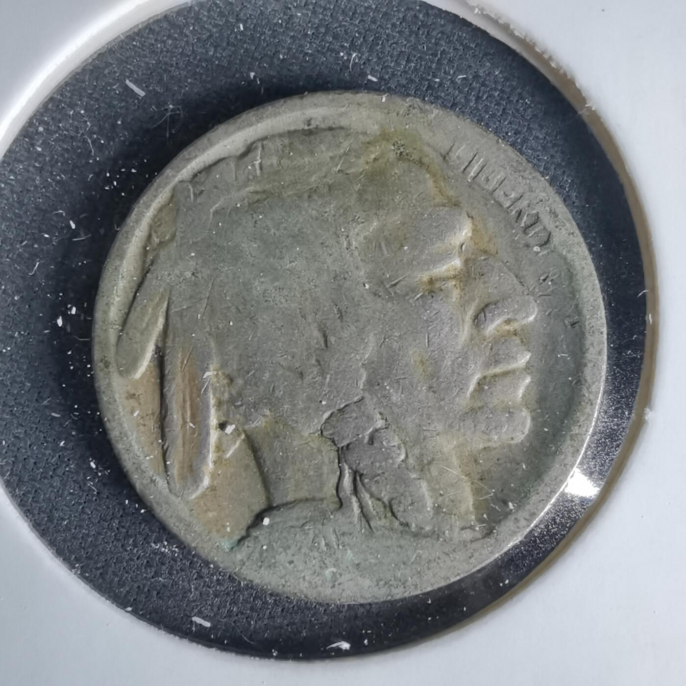 沼泽如烟--第1049场 美国野牛五分