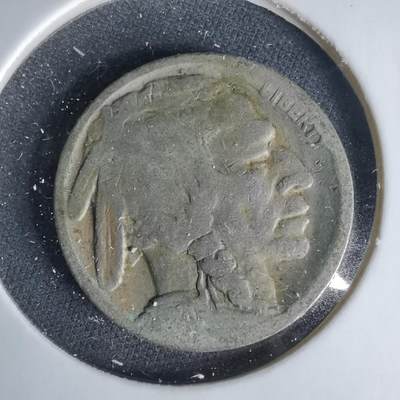 沼泽如烟--第1049场 - 美国野牛五分