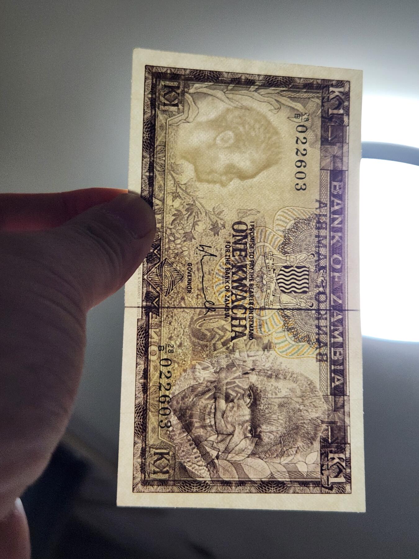 4月11号晚上8点 中外纸币自动截拍第55场